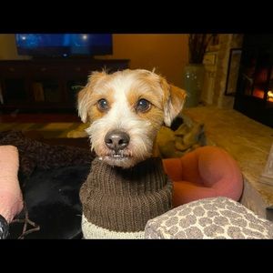 Meet your Posher, Deborah